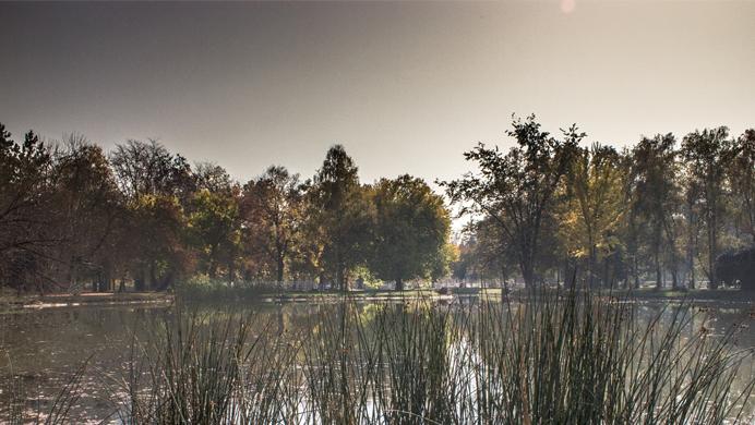 Autumn colors: Lovely lake & park scenery