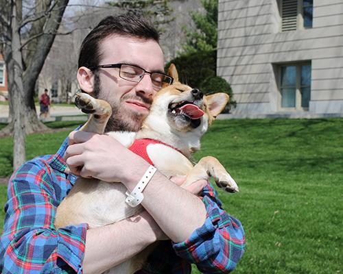 UI senior Will O’Donnell plays fetch with Nala, a Shiba Inu, at the Pentacrest on Wednesday, April 13, 2016.  The Shiba Inu breed is from Japan. (The Daily Iowan/McCall Radavich)