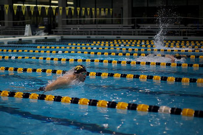 Hawkeye swimmer Jack Smith comes up for air during the mens 50 fly at the CRWC on February 5, 2016. He finished the heat in first place at 22.82. (Daily Iowan/Karley Finkel)