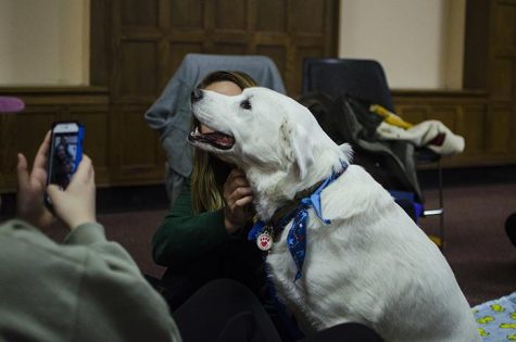 Students play with therapy dogs on Wednesday, Dec. 14, 2016. The finals week event was sponsored by UI Paws, a student organization which promotes animal welfare. (The Daily Iowan/Olivia Sun)