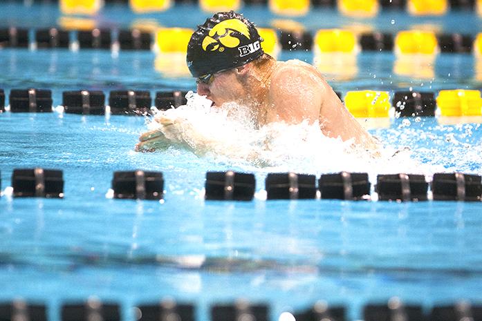 Iowas Isaak Webb competes during a swimming and diving meet against Northern Iowa and Western Illinois on Friday, Feb. 3, 2017. The Hawkeyes defeated Northern Iowa, 147-73, and Western Illinois, 161-49. (The Daily Iowan/Joseph Cress)