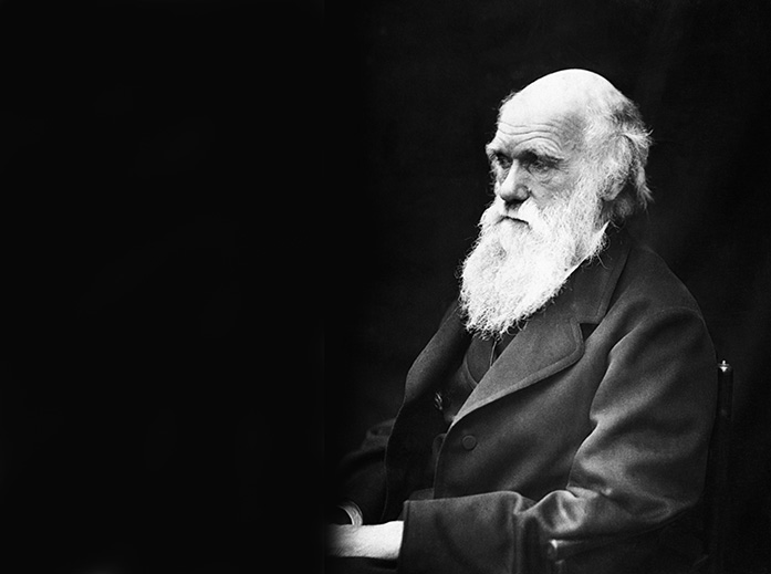 DITV: Iowa City Celebrates Darwin Day