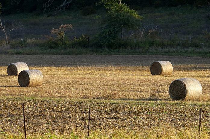 DHS faces gap in rural Iowa