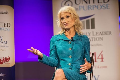 Kellyanne Conway, the counselor to the President, speaks during the Family Leadership Summit in Des Moines on Saturday, July 15, 2017. The sixth-annual summit featured speakers Conway, Iowa Sen. Joni Ernst, R-Iowa, and Sen. Chuck Grassley, R-Iowa, as well as The Benham Brothers.