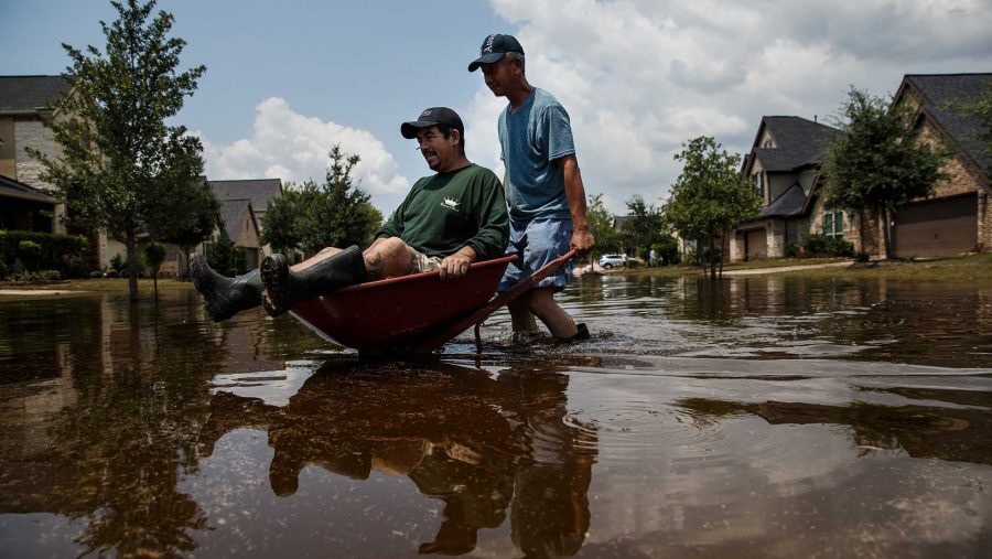 Lung Hui Chen pushes Manuel Terrazas in a wheelbarrow across flooded streets as local residents clear out damaged homes in the aftermath of Hurricane Harvey, in the Millwood subdivision of Fort Bend County, Texas, on Saturday, Sept. 2, 2017. (Marcus Yam/Los Angeles Times/TNS)