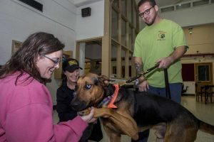 Iowa City Animal Services workers check on the progress of a dog trained at the IMCC on Tuesday Oct. 10, 2017. A new program allows inmates at the IMCC volunteer to work with rescued dogs from the shelter as well as providing preliminary training for some service dogs.