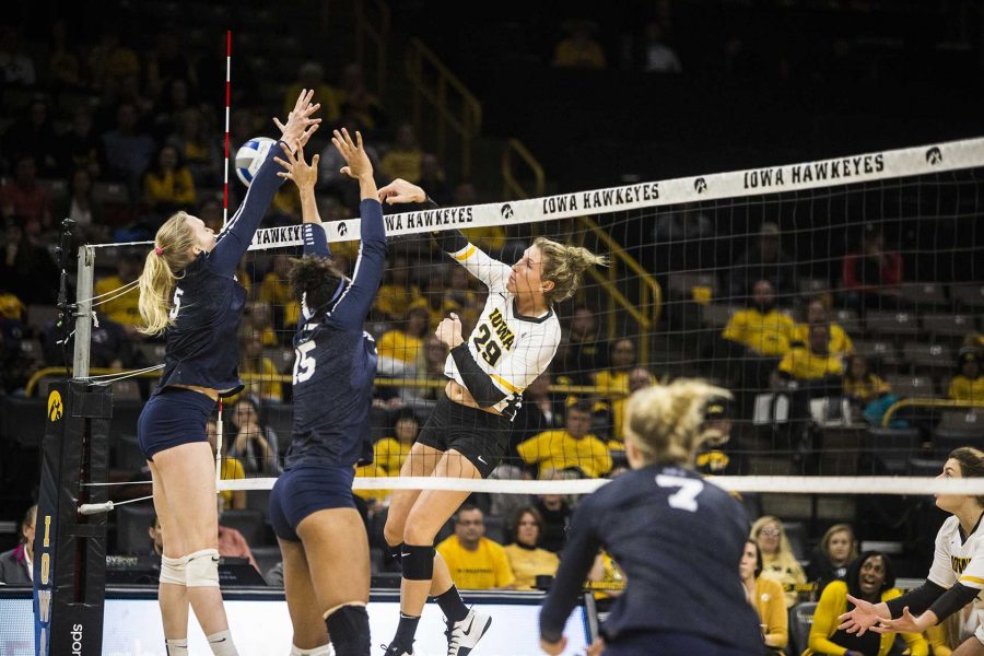 Iowas+Jess+Janota+%2829%29+spikes+the+ball+during+the+match+between+Iowa+and+Penn+State+at+Carver-Hawkeye+Arena+on+Wednesday%2C+Nov.+8%2C+2017.+The+Hawkeyes+lost+to+the+Nittany+Lions+3-0.+%28Ben+Smith%2FThe+Daily+Iowan%29