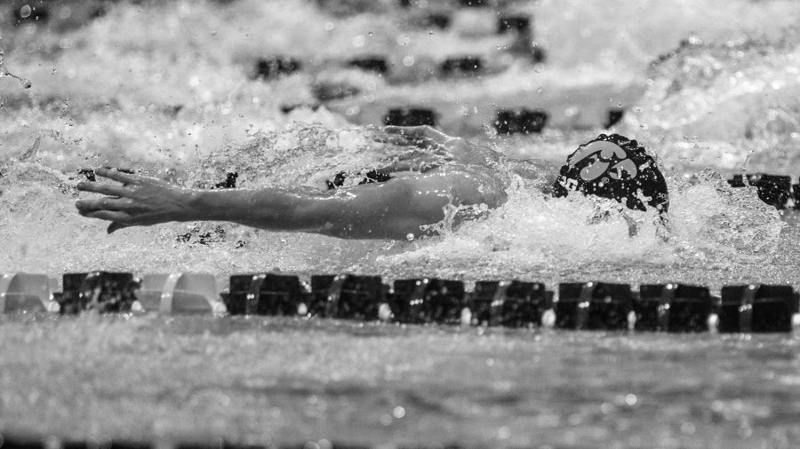 Iowas Jerz Twarowski places first in the mens 100m fly during the Senior Day meet between Iowa and Minnesota at the Campus Recreation and Wellness Center on Friday, Oct. 27, 2017. The Iowa mens swimming team beat the 21st ranked Minnesota Golden Gophers 168-132. (Ben Smith/The Daily Iowan)