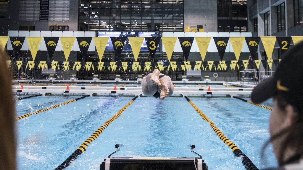 During the Senior Day meet between Iowa and Minnesota at the Campus Recreation and Wellness Center on Friday, Oct. 27, 2017. The Iowa mens swimming team beat the 21st ranked Minnesota Golden Gophers 168-132. (Ben Smith/The Daily Iowan)