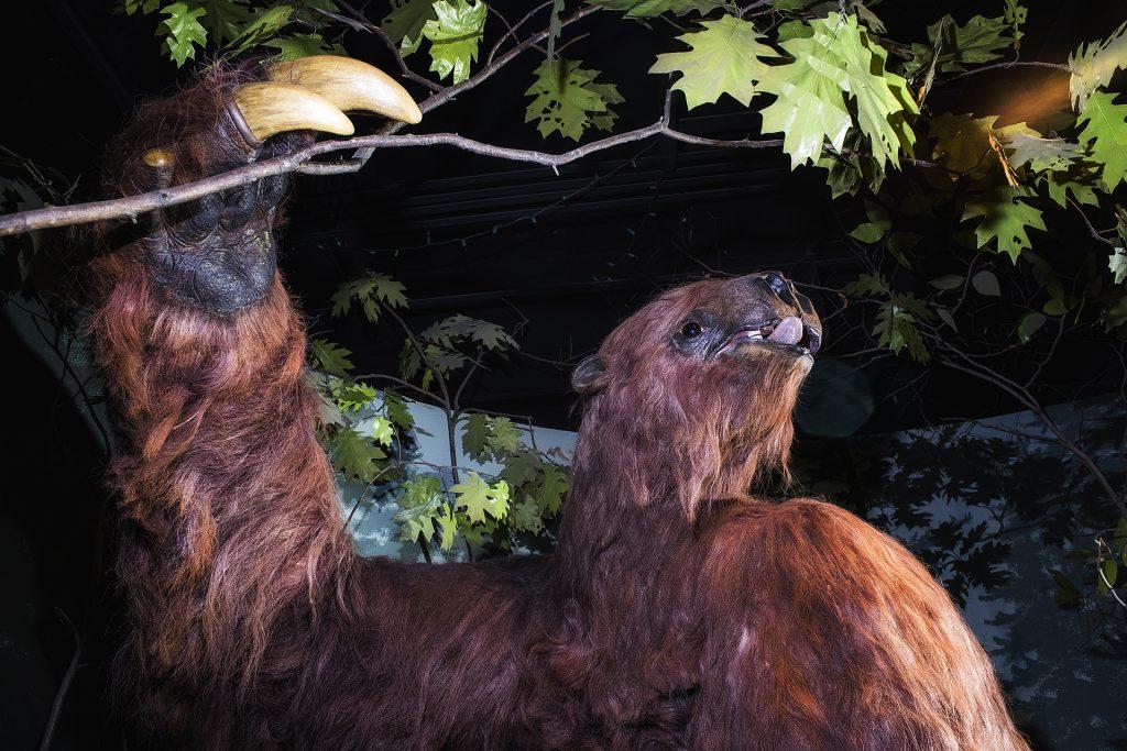 Rusty the Giant Sloth poses for a portrait in the Museum of Natural History on Tuesday, Feb. 20, 2018. Rusty is a fitting tribute to the concept of Darwinism. (James Year/The Daily Iowan