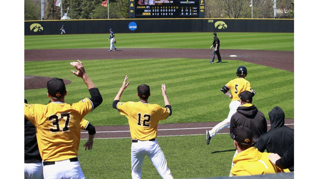 Iowa players watch Tyler Cropleys walk-off home run during baseball Iowa vs. Michigan at Duane Banks Field on April 29, 2018. The Hawkeyes defeated the Wolverines 7-5. (Katina Zentz/The Daily Iowan)