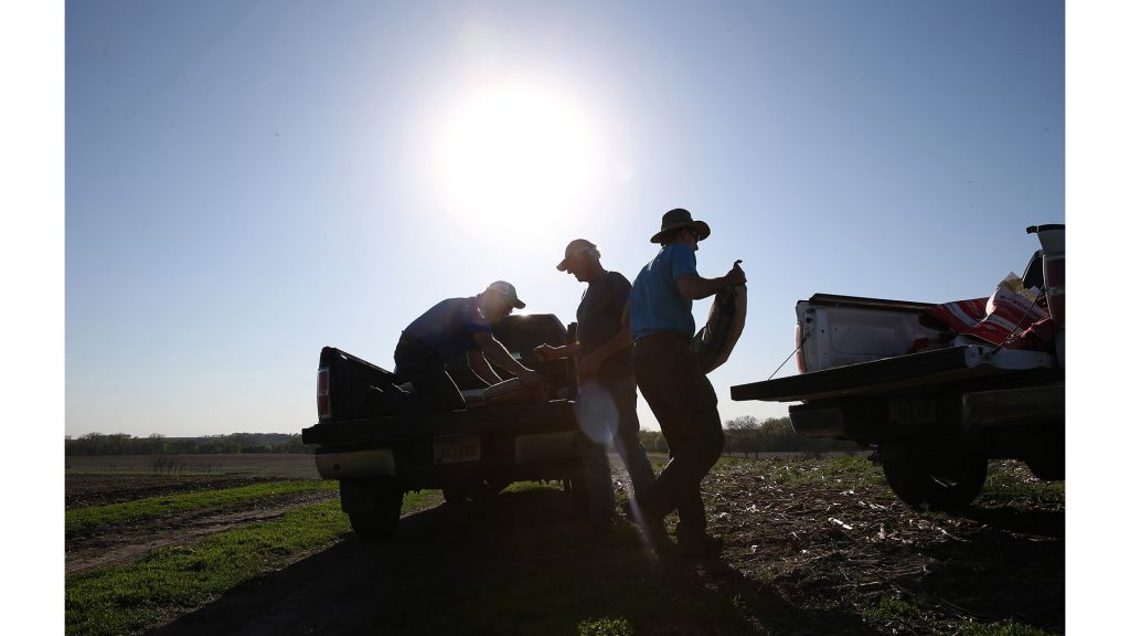Jon Bakehouse, right, and his father Bach Bakehouse, center, pick up a few bags of a new type of soybean during planting season on April 29,  2015 in Hastings, Iowa. (Abel Uribe/Chicago Tribune/TNS)