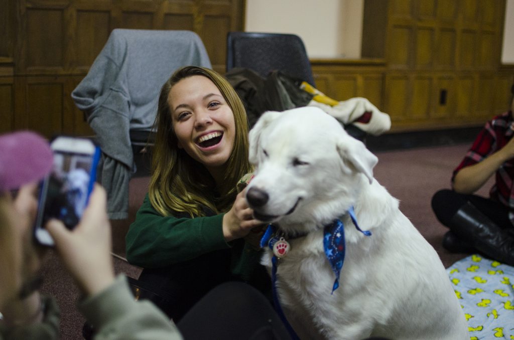 A student plays with a therapy dog on Wednesday, Dec. 14, 2016. The finals week event was sponsored by UI Paws, a student organization which promotes animal welfare. (The Daily Iowan/Olivia Sun)