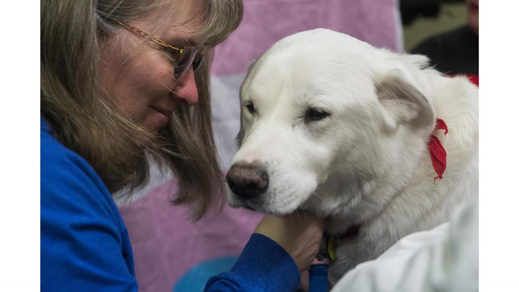 Loretta Gronewold is communicating with her therapy dog, Dexter, in IMU, March 31. (The Daily Iowan/ Gaoyuan Pan)