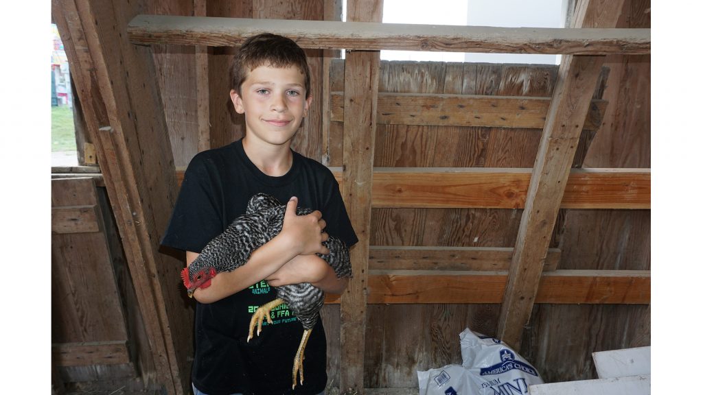 Ethan Krieger holds his chicken Sweet Pea at the Johnson County Fair on July 25, 2017. Ethan is showing his chicken at the county fair as part of the 4H Program. His favorite part of 4H is taking care of the animals and handling them.(Morgan Louvar/Daily Iowan)