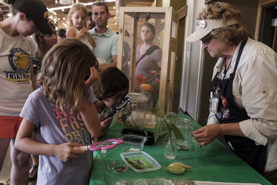 Johnson County Master Gardener explains samples of different butterflies and their corresponding caterpillars during the third annual Monarch Butterfly Festival at the Terry Trueblood Recreation Area on Sunday, August 26, 2018. The festival featured a variety of butterfly themed educational activities.Johnson County Master Gardener Corolyn Murphy explains samples of different butterflies and their corresponding caterpillars during the third annual Monarch Butterfly Festival at the Terry Trueblood Recreation Area on Sunday, August 26, 2018. The festival featured a variety of butterfly themed educational activities. Murphy specializes in cultivating a garden that creates a favorable habitat for butterflies.