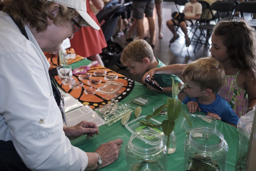 Johnson County Master Gardener Corolyn Murphy explains samples of different butterflies and their corresponding caterpillars during the third annual Monarch Butterfly Festival at the Terry Trueblood Recreation Area on Sunday, August 26, 2018. The festival featured a variety of butterfly themed educational activities. Murphy specializes in cultivating a garden that creates a favorable habitat for butterflies.