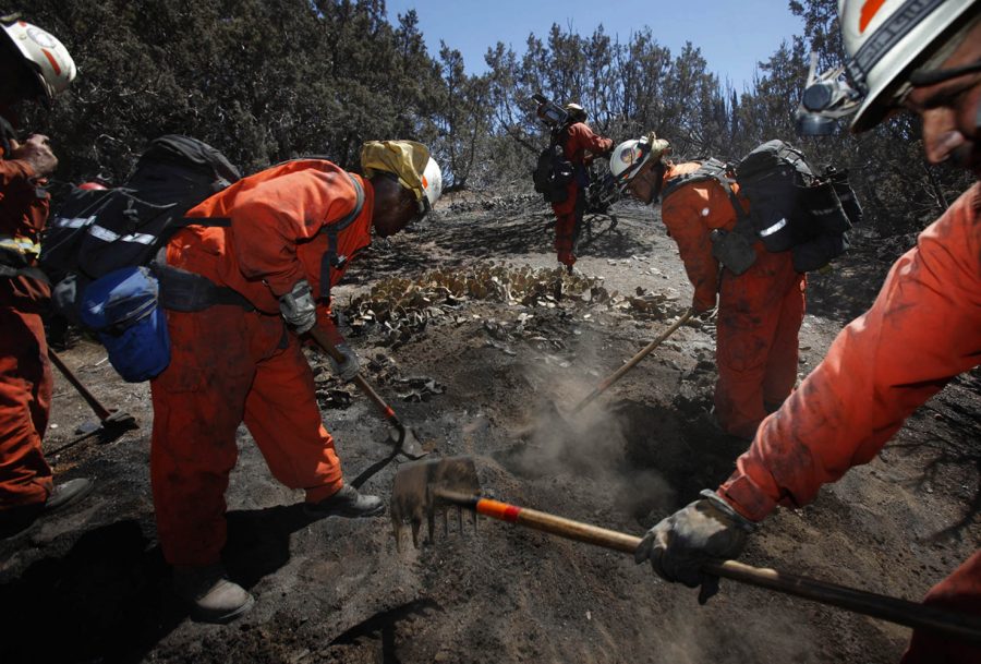 Inmate firefighters based in Acton, California, work to overhaul hot spots left from the Crown Fire in Palmdale, California, on Saturday, July 31, 2010.  The Crown Fire has burned more than 14,000 acres. 