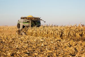 A farmer harvests corn near Washington, Iowa on Sunday, Nov. 19, 2017. 