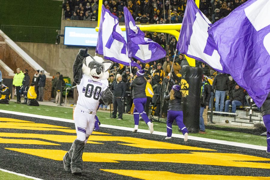 Willy the Wildcat cheers after a Northwestern touchdown during the Iowa/Northwestern game at Kinnick Stadium on Saturday, November 10, 2018. The Wildcats defeated the Hawkeyes 14-10. (Katina Zentz/The Daily Iowan)