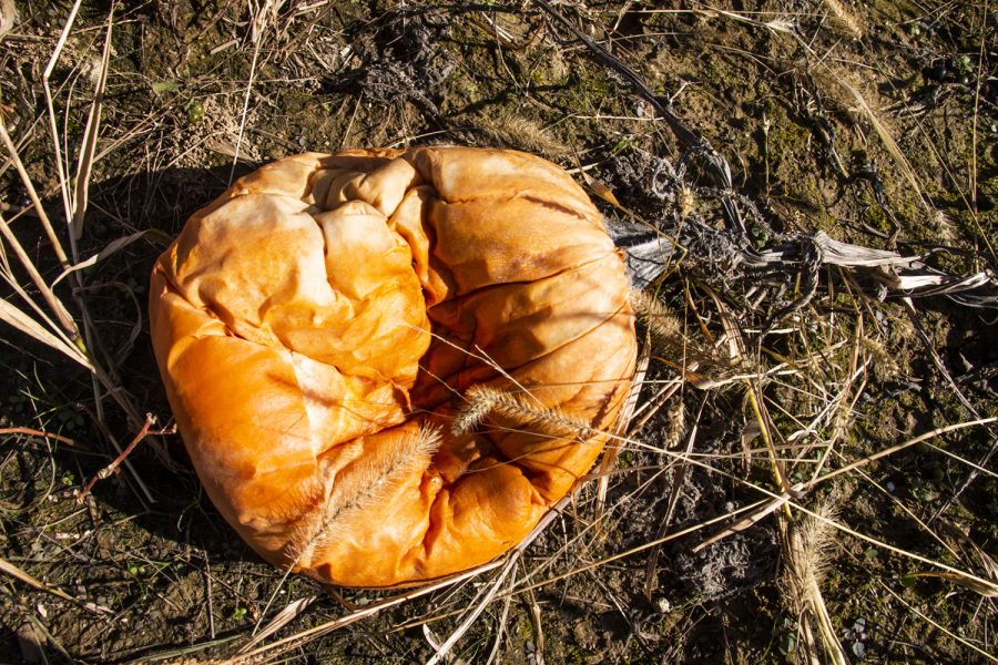 Iowa City encourages pumpkin composting this Halloween