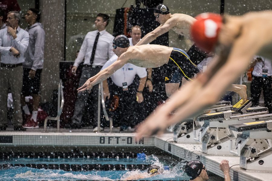 Iowas Mateusz Arndt jumps off the starting block during the first day of the 2019 Big Ten Mens Swimming and Diving Championships at the CRWC on Wednesday, February 27, 2019.