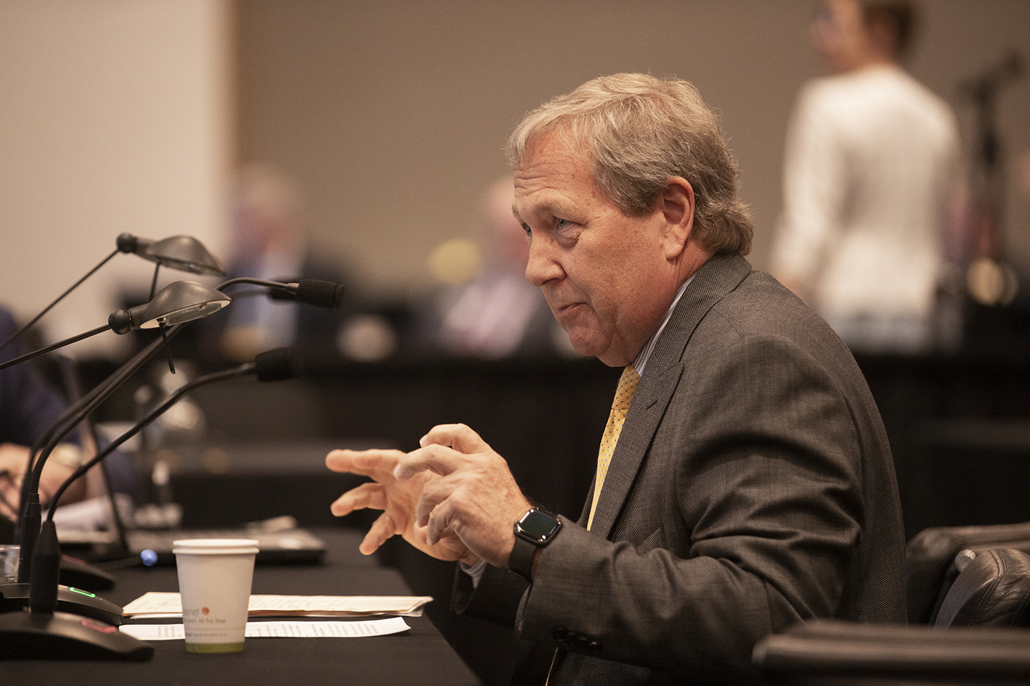 University of Iowa President Bruce Harreld speaks in front of the Board of Regents on Thursday, April 18th, 2019. 