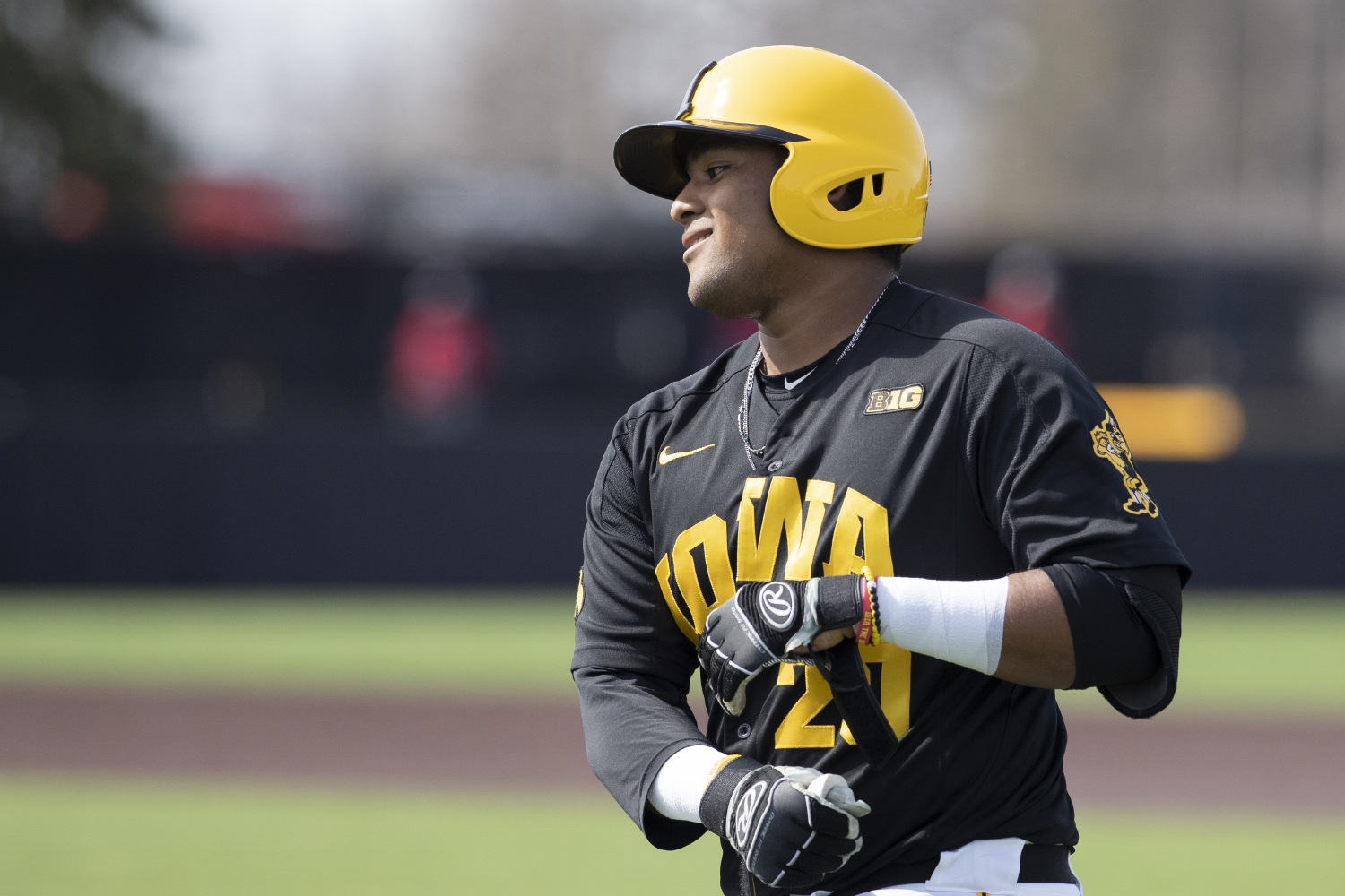 Opinion  The 2022-23 Iowa baseball season shouldn't be forgotten - The  Daily Iowan