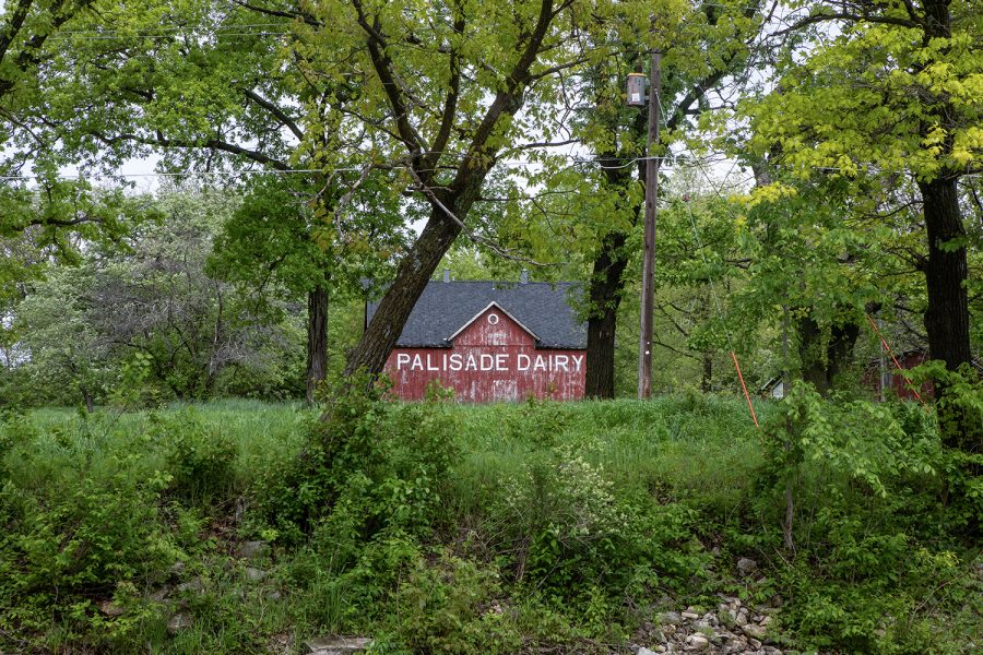 An old barn marked by the brand of Palisade Dairy sits above the riverbank on the Iowa River. Palisade Holding Company has operated in the Iowa Falls area for 31 years.