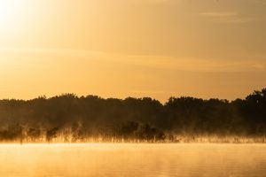 Water vapor from the Coralville Reservoir rises as the morning light hits the water on the morning of June 11, 2019. The vegetation inside the river would typically be above the water. 
