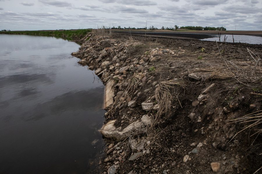 A cornfield on the right side of the picture is affected by standing water from rainfall on May 20, 2019. To the left side of the picture, the rocky bank of the cornfield meets the Iowa River.