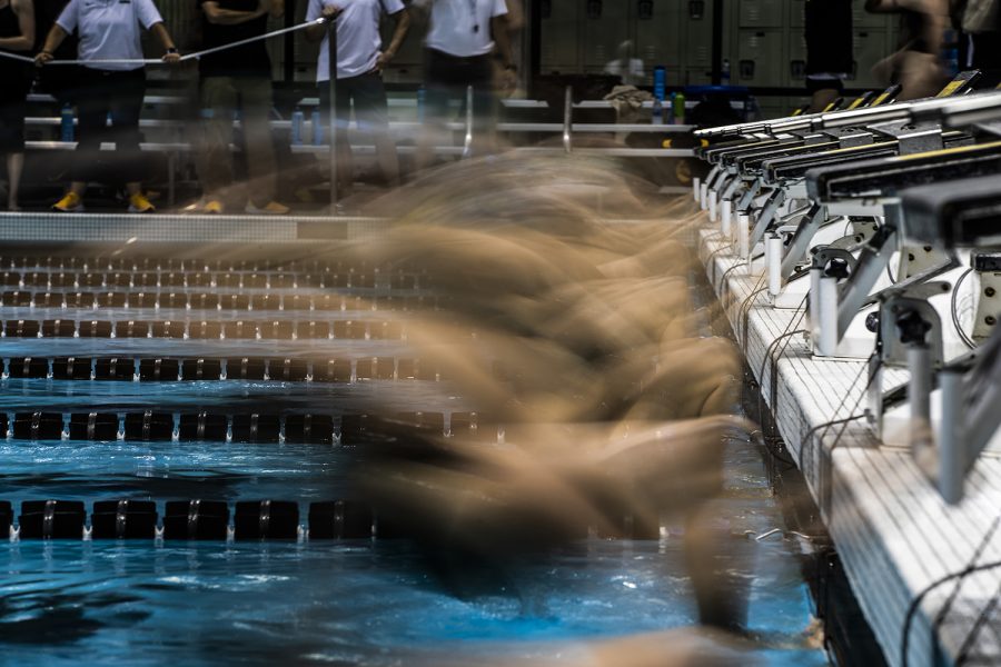 Swimmers jump off the starting block during the triangle meet against Michigan State and UNI on Thursday, October 3, 2019. 