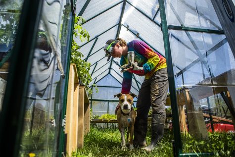 Corbin Scholz and her dog Nina hang out in the greenhouse on Scholzs organic farm near Solon, Iowa, on May 4, 2019.