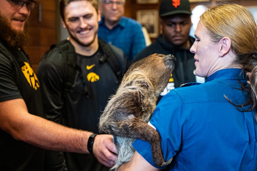 Iowa players meet Zena, a Two-Toed Sloth, at the San Diego Zoo in San Diego on Wednesday, Dec. 25, 2019.