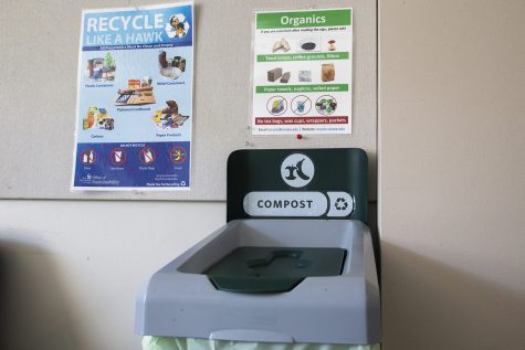 A compost bin is seen in the staff and faculty lounge of the Pappajon Business Building on Tuesday, February 11, 2020. The bins were introduced in January to allow items like paper towels and pizza boxes to be recycled. 