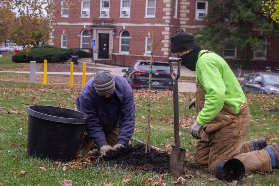 University of Iowa arborists, Alan Allgood (left) and Andy Dahl (right), plant a red maple tree from Henry David Thoreau’s garden during the Literary Grove tree planting by the University of Iowa Arborists and Writers’ Workshop at the Dey House on Oct. 23.
