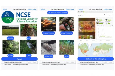The home screen of the Hickory Hill Hunt app displays its different elements. Designed by University of Iowa PhD Student Rachel Larson, the app is intended to help its users learn about wildlife. (Contributed)