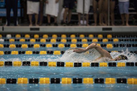 Iowa swimmer Andrew Fierke competes in the 1,000 freestyle during a swim meet at the CRWC on January 11, 2020 between Iowa, Illinois, and Notre Dame. Fierke finished 2nd in his heat with a time of 9:25.79. 