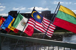 Various flags are seen on Monday, October 15, 2018. There are 120 flags being displayed on the Iowa Memorial Union Pedestrian Bridge to recognize the international students on campus. 
