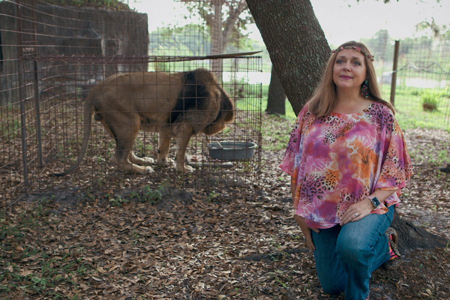 Big Cat Rescue founder Carole Baskin in a still from Netflixs Tiger King. 