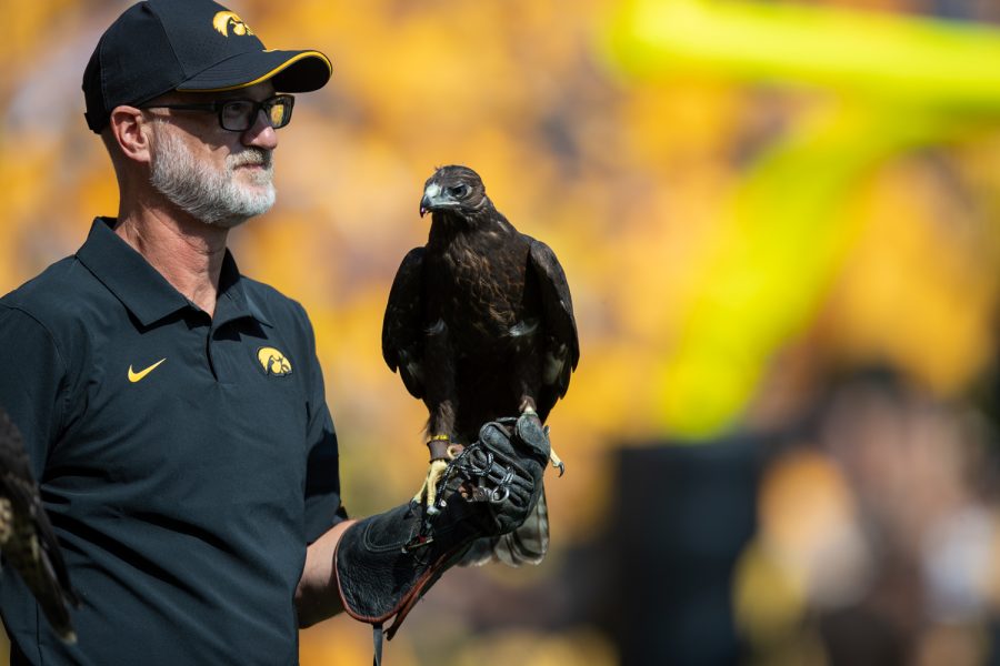 A hawk from the Iowa Raptor Project rests on a handler’s hand during a football game between Iowa and Kent State at Kinnick Stadium on Saturday, Sept. 18, 2021. The Hawkeyes defeated the Golden Flashes 30-7. (Jerod Ringwald/The Daily Iowan)