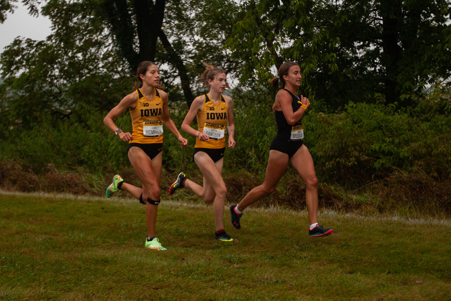 Iowa men’s and women’s cross country finish in top five at Gans Creek