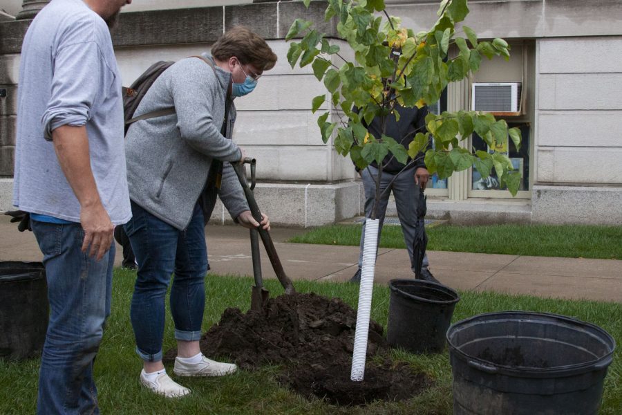 University of Iowa students plant trees to celebrate Homecoming Week on Monday Oct. 11, 2021. “With the theme for this week being moving traditions forwards, I think it was important for us to continue the tree planting tradition.” said Coltin Ball, Equity Director of the Homecoming Council.