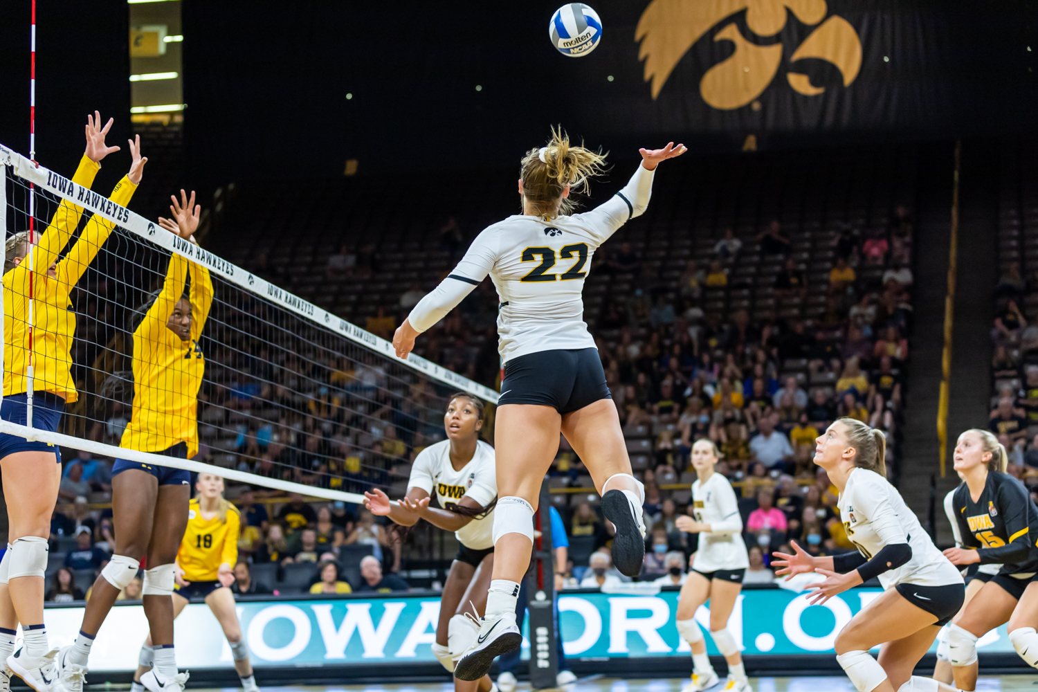 Iowa Volleyball Set For Two Ranked Matchups - The Daily Iowan