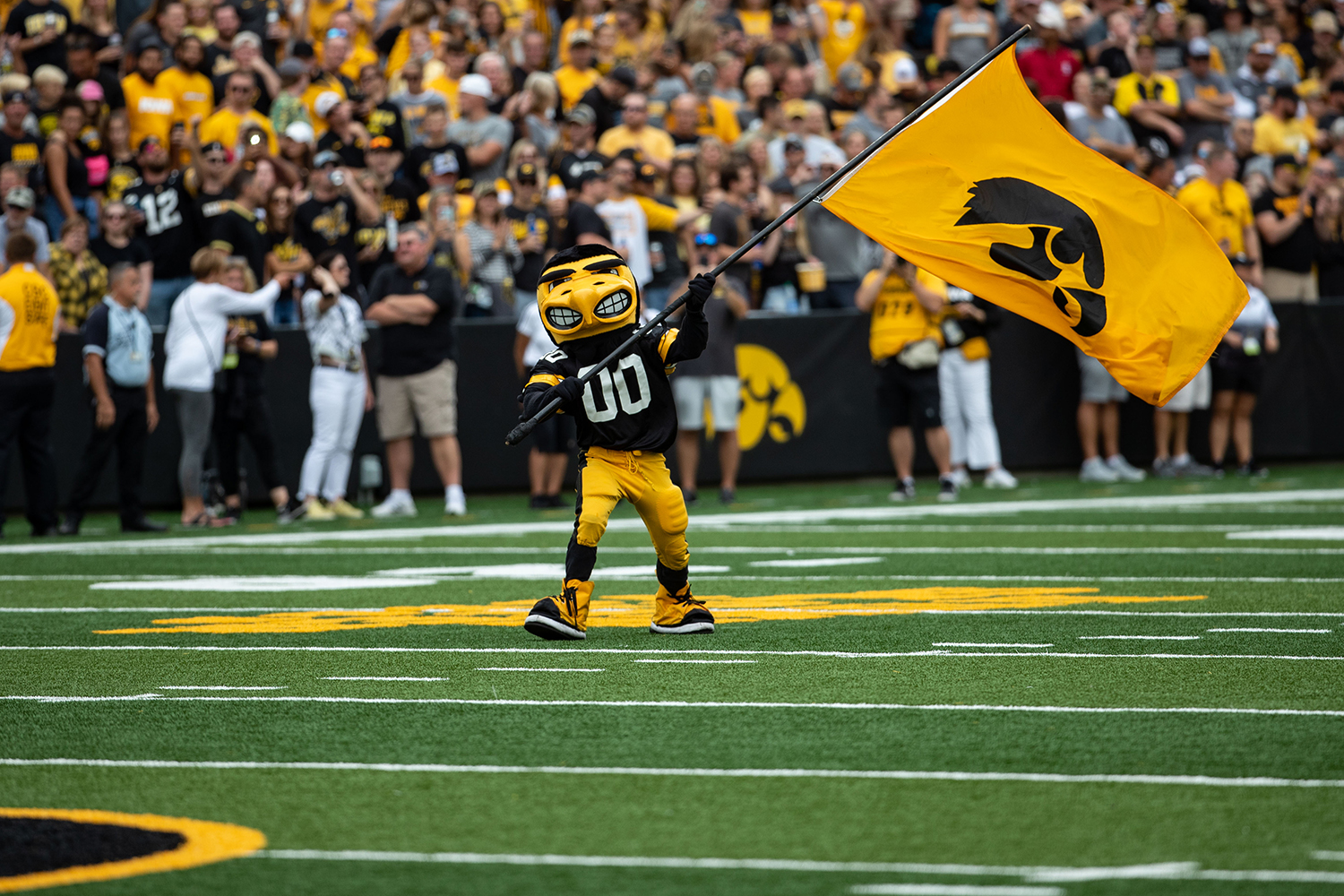 Herky the Hawk fights for spot in Mascot Hall of Fame - The Daily Iowan