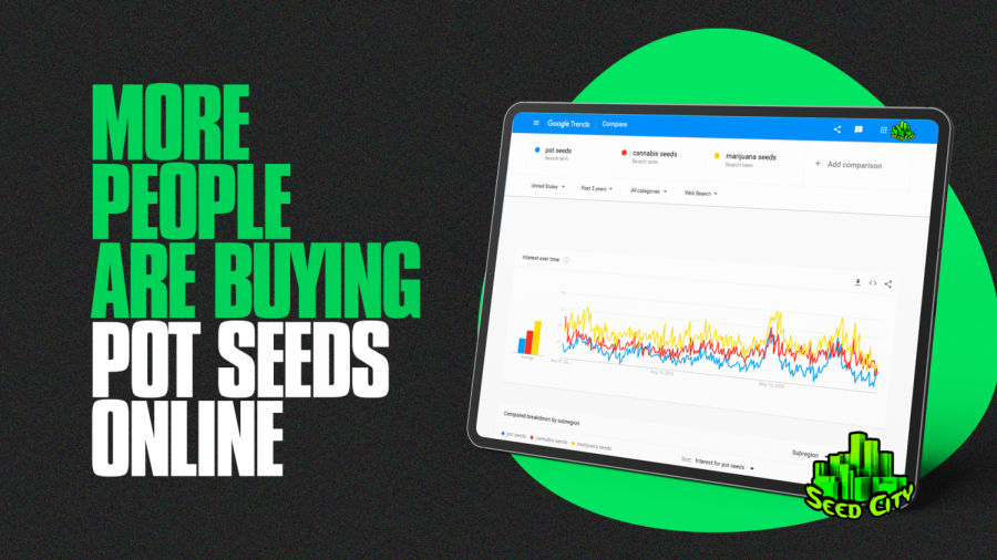 More+People+Are+Buying+Pot+Seeds+Online+Than+Ever