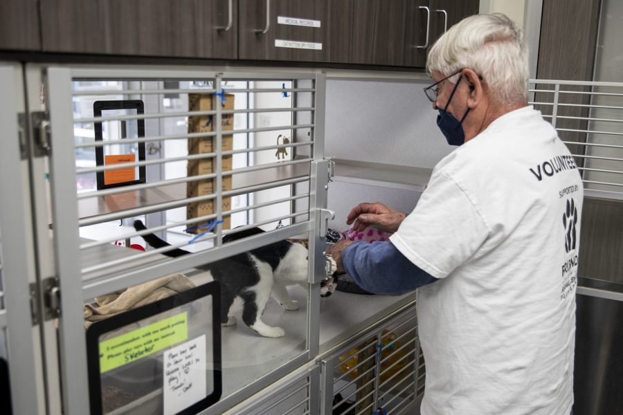 Jerry Swais, who has volunteered petting the cats at the Iowa City Animal Care and Adoption Center for six months, picks up Skeletor, a four-year-old domestic shorthair, on Monday, Feb. 21, 2022. 