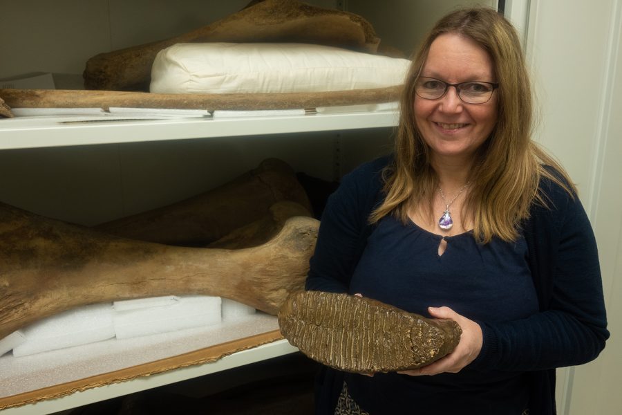 Tiffany Adrain poses in the Paleontology Repository with a woolly mammoth’s molar tooth which was discovered in 1912 by A.O. Thomas on Monday, March 28, 2022.