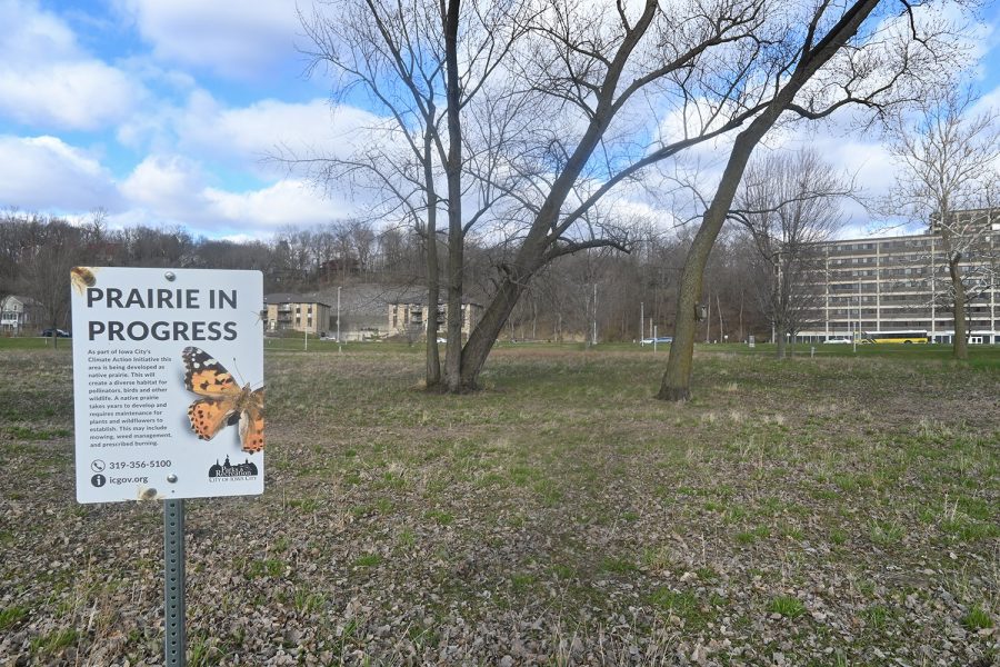 The prairie in Mayflower Park in Iowa City is seen on Monday, April 18, 2022.