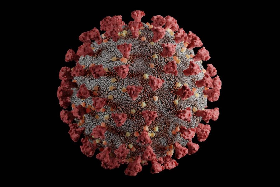 Opinion | We need preparation for future viruses